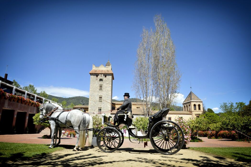 El Banquet de Premià | Bodas